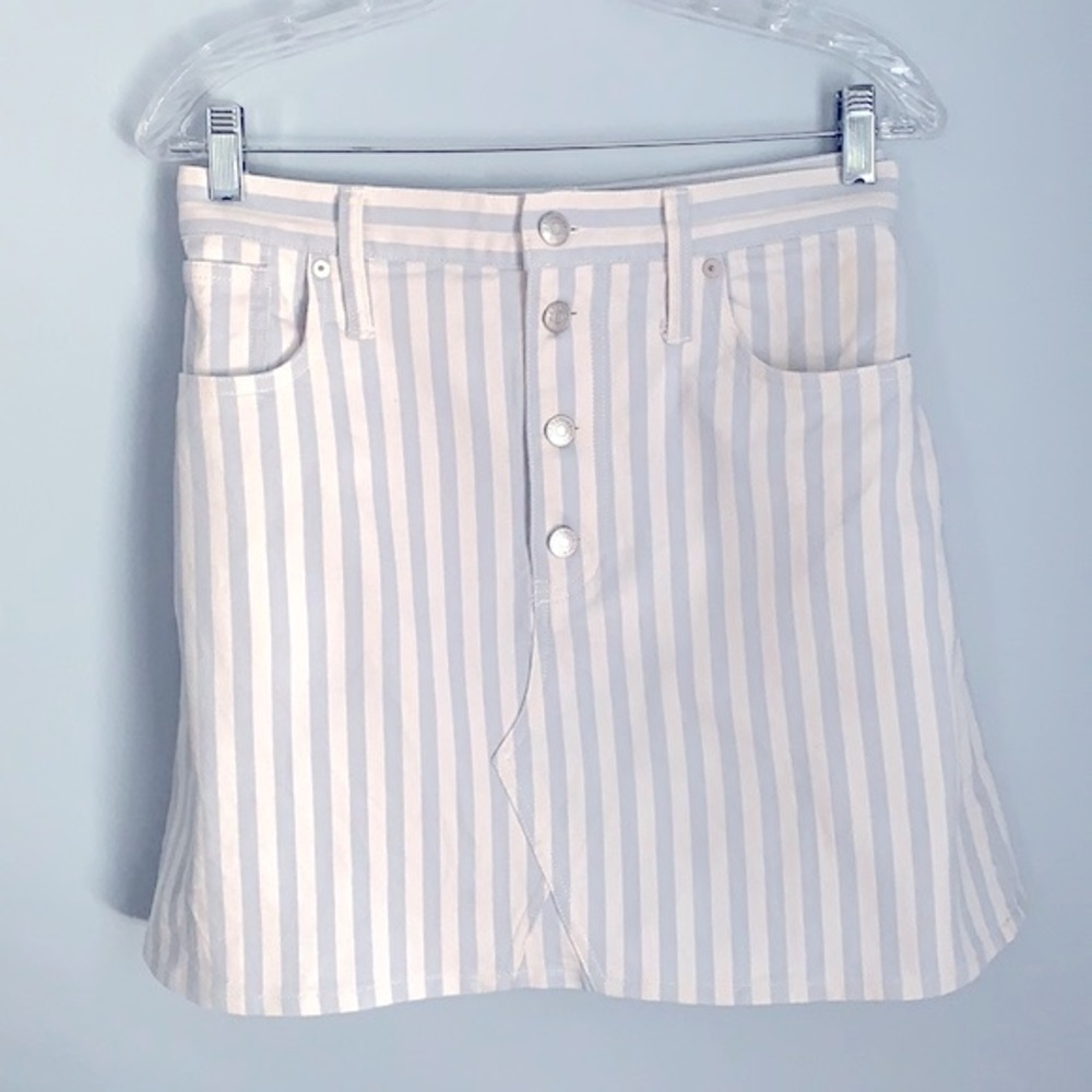 Madewell skirt.